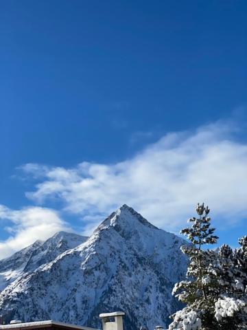 Studio 2 Alpes Style Chalet Au Pied De Telesiege Du Diable 레두잘프 외부 사진