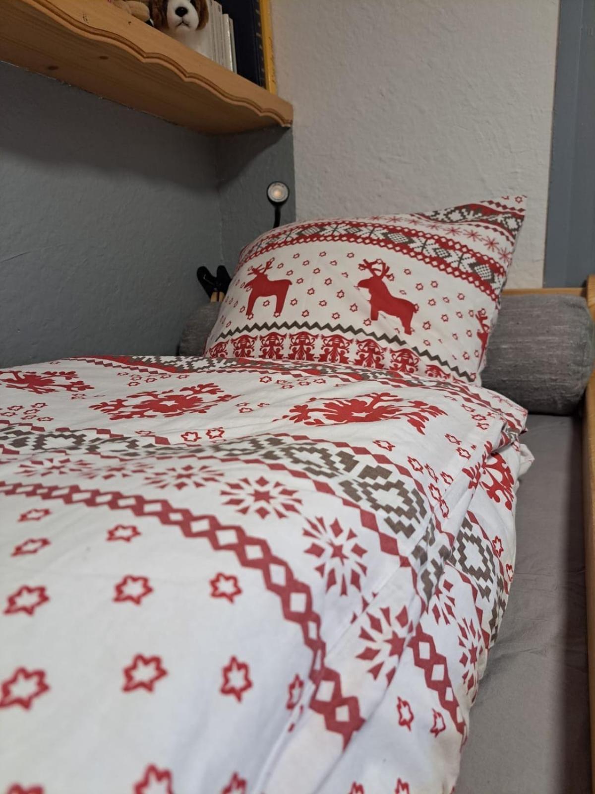 Studio 2 Alpes Style Chalet Au Pied De Telesiege Du Diable 레두잘프 외부 사진